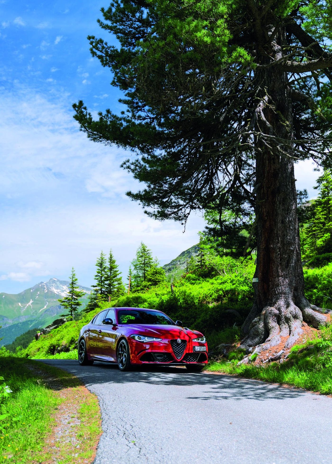Alfa Romeo Giulia Quadrifoglio: Adrenalin pur