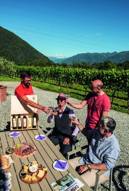 Zu Besuch bei Paolo und Stefan auf dem Weingut Hefti Vini.