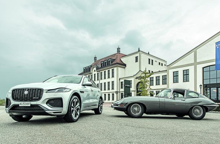 Jaguar F-Pace P400: Auf Visite bei den Raubkatzen