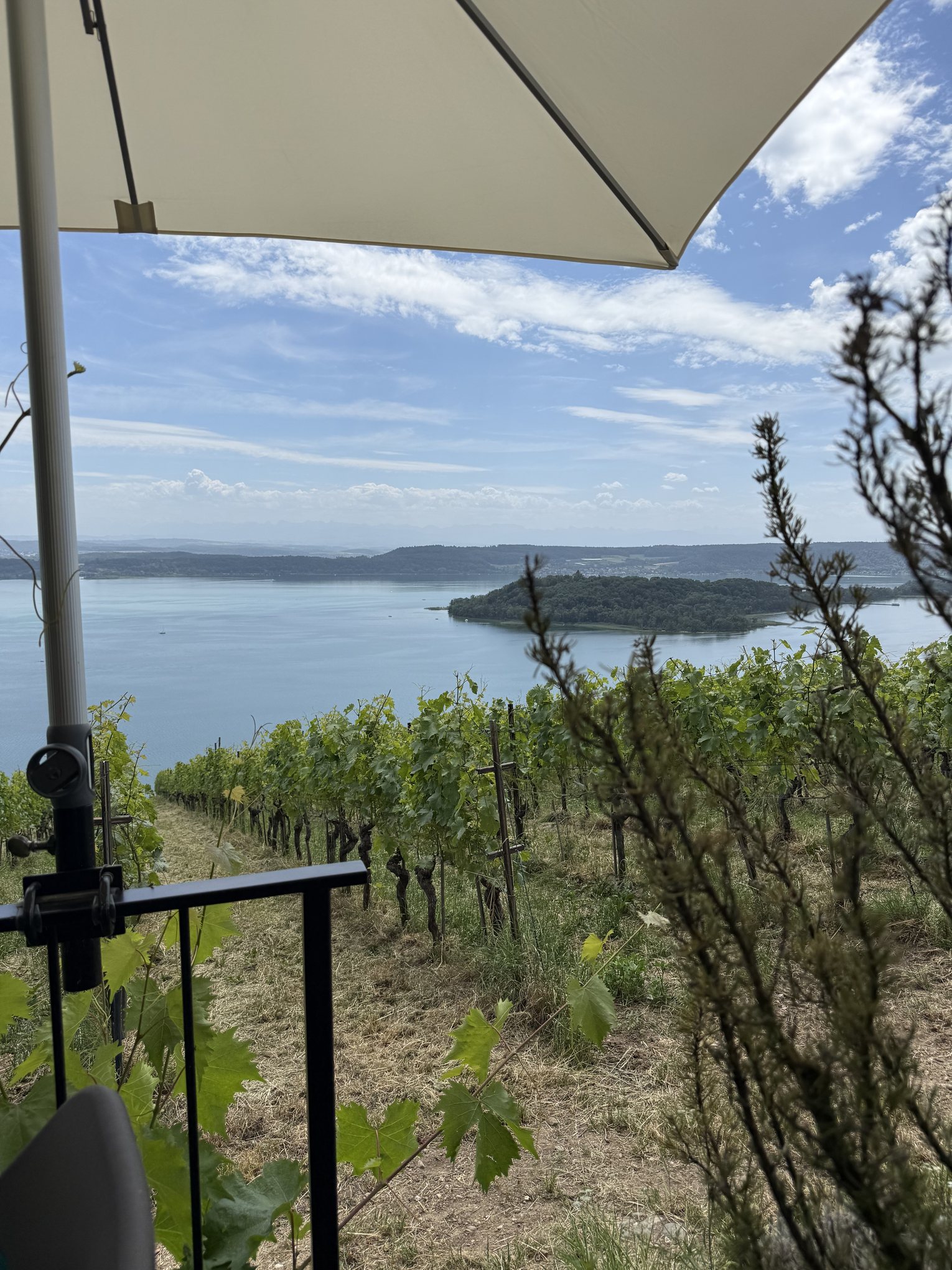 Hoch über dem Bielersee: Mittagspause mit Blick auf die Reben.